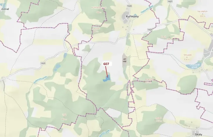 Dražba lesa, Kuřimany, 10437 m2