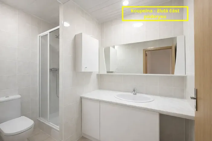 Pronájem kanceláře, Brno, Příkop, 226 m2