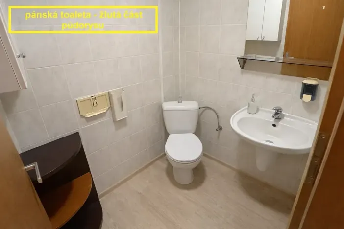 Pronájem kanceláře, Brno, Příkop, 226 m2