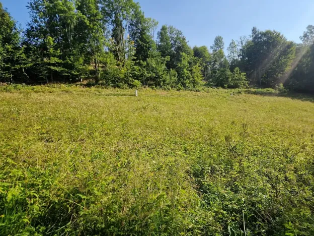 Prodej pozemku pro bydlení, Dolní Dvůr, 2600 m2