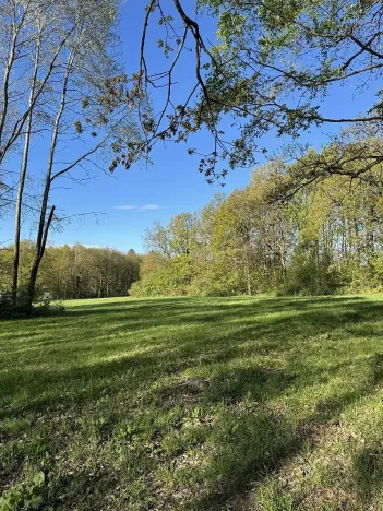 Prodej pozemku, Čížkov, 22012 m2