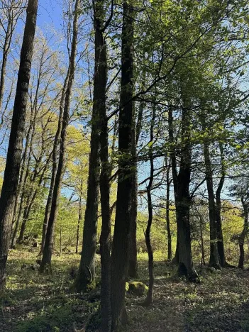 Prodej pozemku, Čížkov, 22012 m2