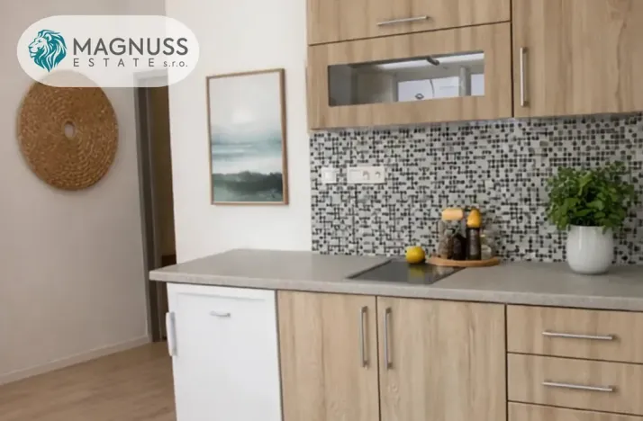 Pronájem bytu 2+kk, Olomouc, Horní náměstí, 30 m2