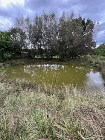 Prodej ubytování, Štědrá, 1787 m2