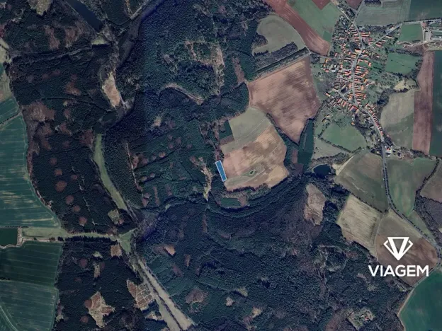 Prodej lesa, Konojedy, 3288 m2