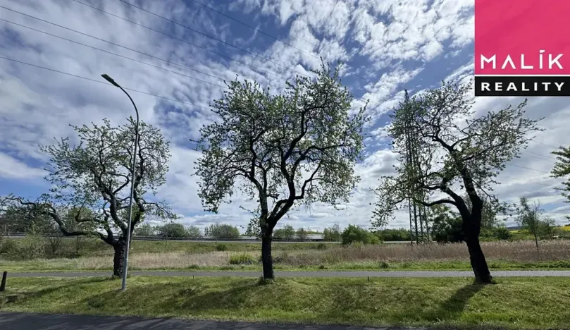 Prodej louky, Ostrov, Jáchymovská, 8734 m2