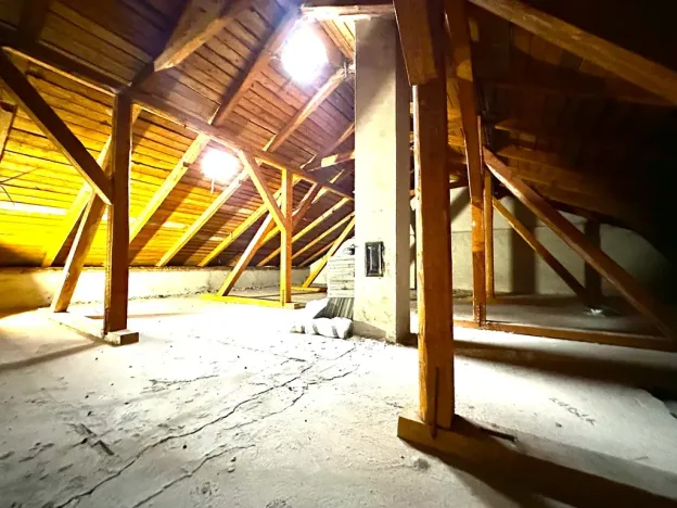 Prodej obchodního prostoru, Polesí, 150 m2