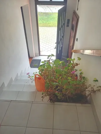 Prodej rodinného domu, Pasohlávky, 210 m2