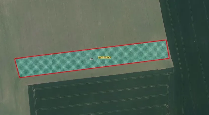 Prodej pole, Dolní Bezděkov, 7705 m2