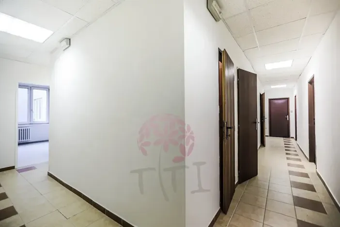 Pronájem kanceláře, Praha - Karlín, Thámova, 154 m2