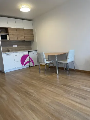 Pronájem bytu 1+kk, Olomouc, Edmunda Husserla, 30 m2