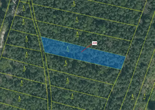 Dražba lesa, Vesce, 1673 m2