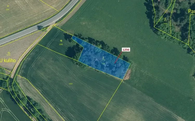 Dražba lesa, Hradiště, 1284 m2