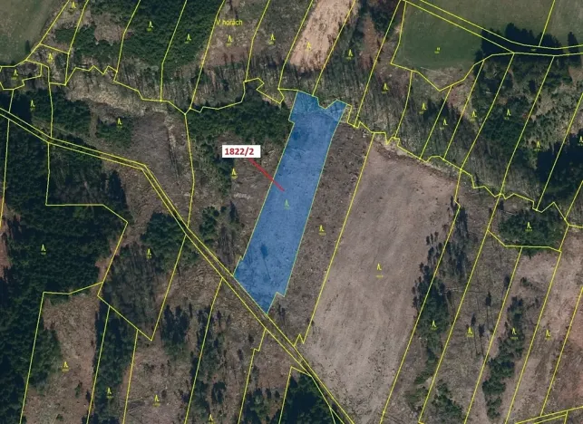 Dražba lesa, Žirovnice, 5108 m2