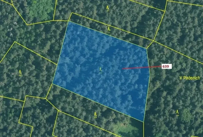 Dražba lesa, Kuřimany, 8912 m2