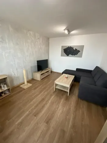 Prodej bytu 2+1, Holešov, Novosady, 58 m2