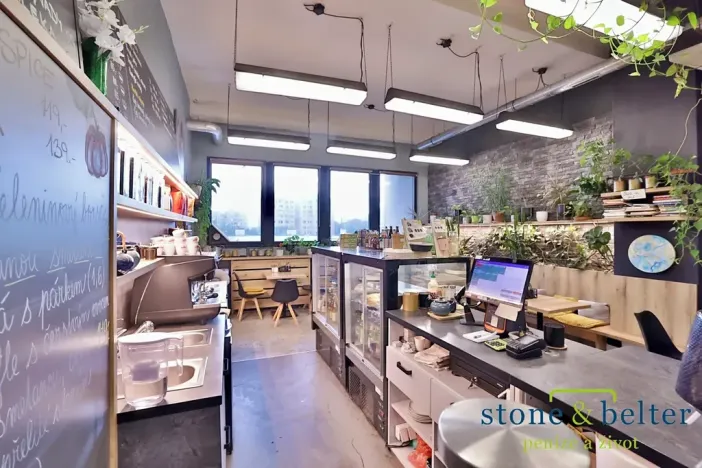 Pronájem obchodního prostoru, Praha - Troja, Lodžská, 254 m2