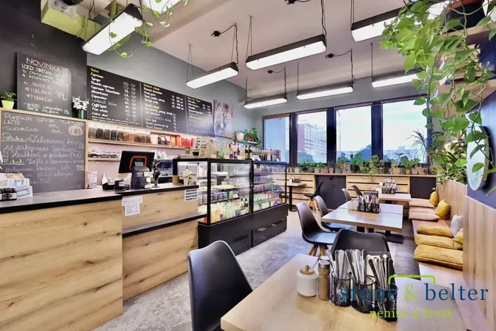 Pronájem obchodního prostoru, Praha - Troja, Lodžská, 254 m2