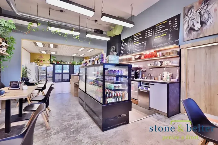 Prodej obchodního prostoru, Praha - Troja, Lodžská, 254 m2