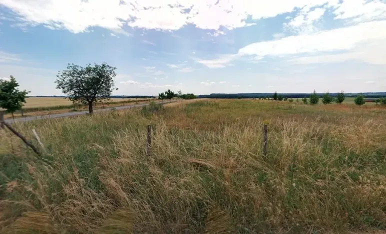 Prodej zahrady, Maršov, 31902 m2