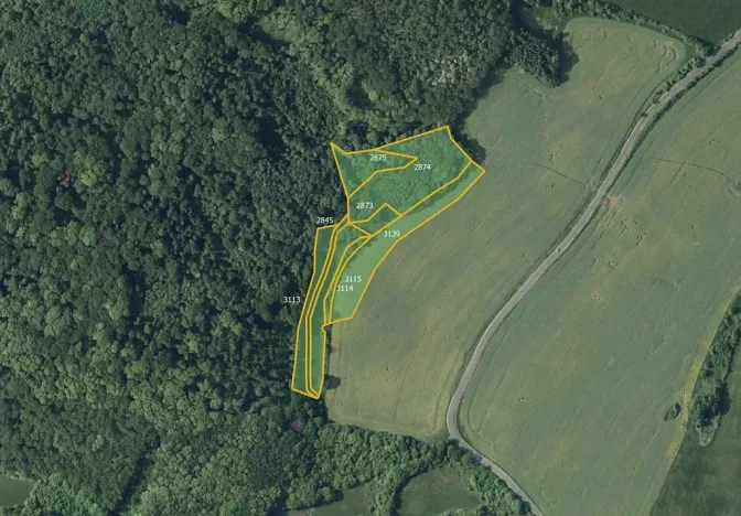 Prodej louky, Kostomlaty pod Milešovkou, 26512 m2