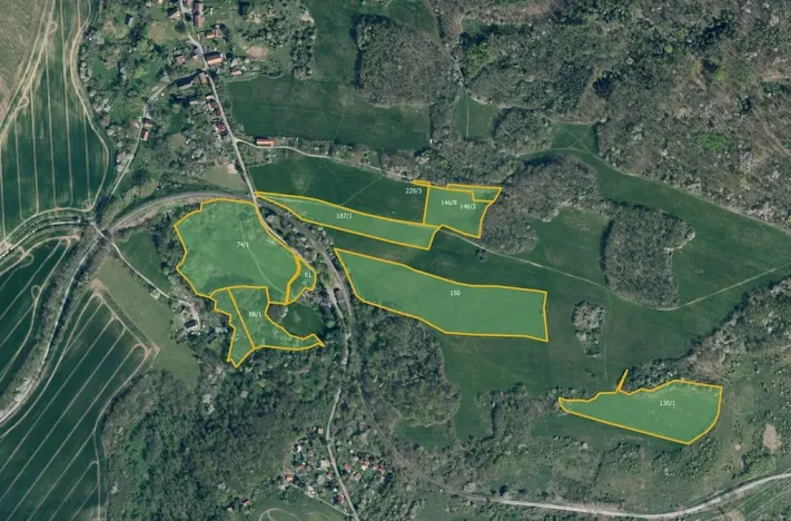 Prodej louky, Úštěk, 126063 m2