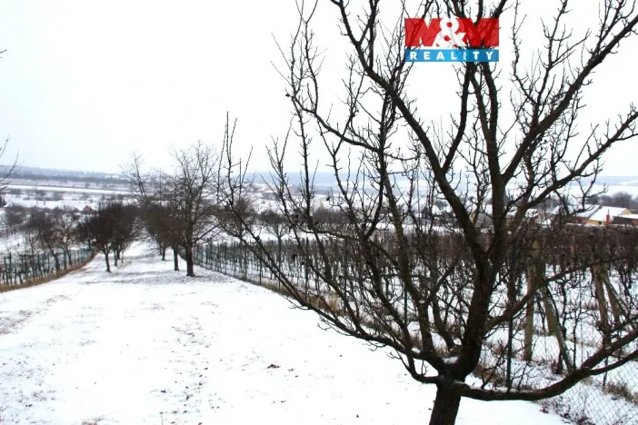 Prodej pole, Starý Poddvorov, 4096 m2