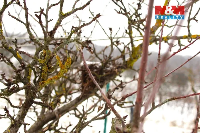 Prodej pole, Starý Poddvorov, 4096 m2