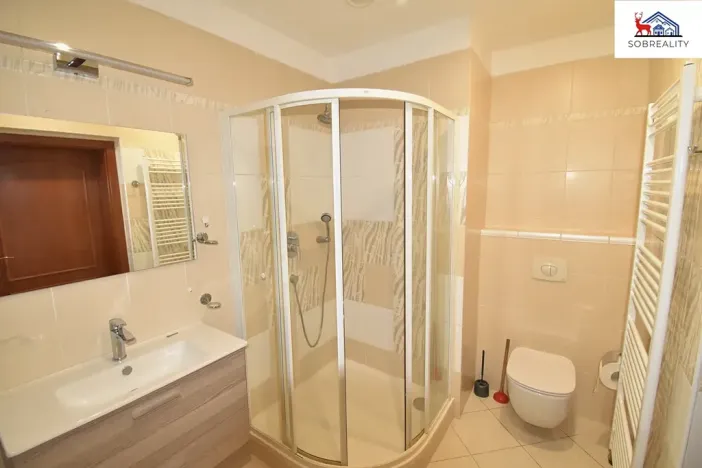 Pronájem bytu 4+1, Teplice, Masarykova třída, 172 m2