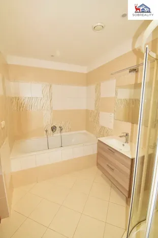 Pronájem bytu 4+1, Teplice, Masarykova třída, 172 m2