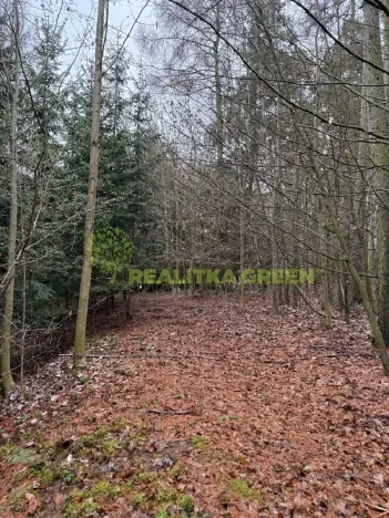 Prodej lesa, Konice, 10385 m2