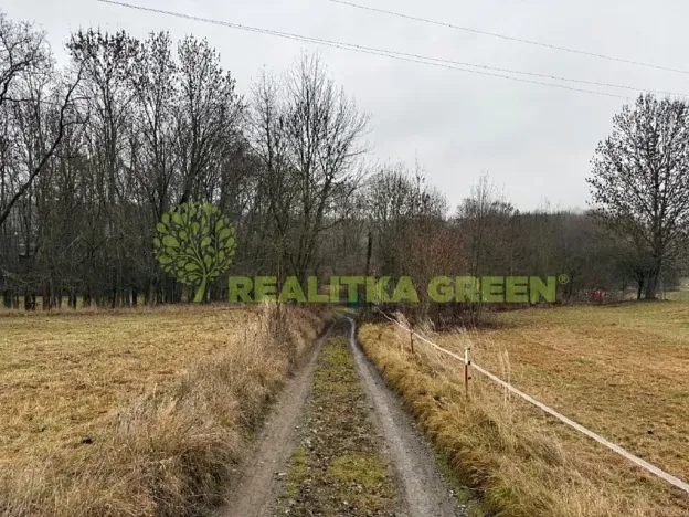 Prodej lesa, Konice, 10385 m2