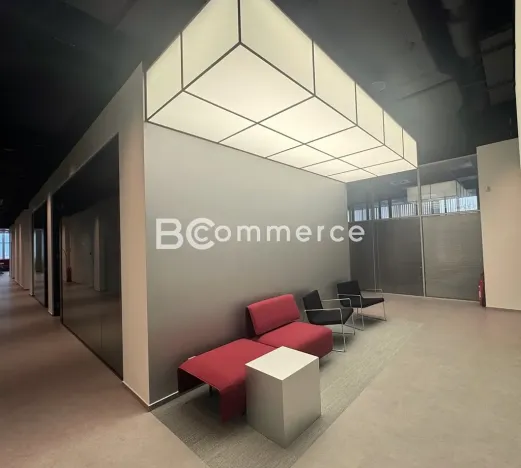 Pronájem kanceláře, Brno, Purkyňova, 25 m2