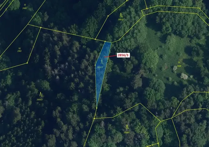 Dražba lesa, Český Dub, 448 m2