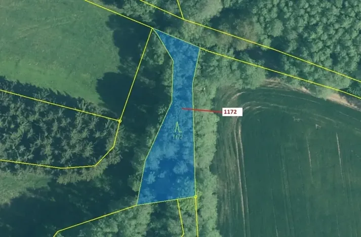 Dražba lesa, Kuřimany, 875 m2