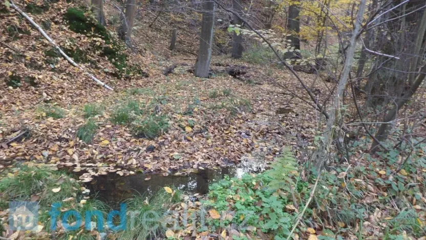 Prodej pozemku, Český Těšín, 3946 m2