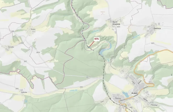 Dražba lesa, Plasy, 1287 m2