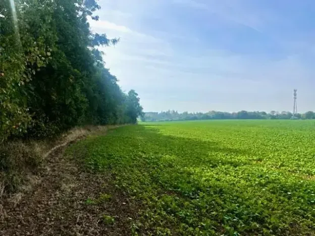 Prodej pole, Praha - Liboc, Na Padesátníku I, 24066 m2