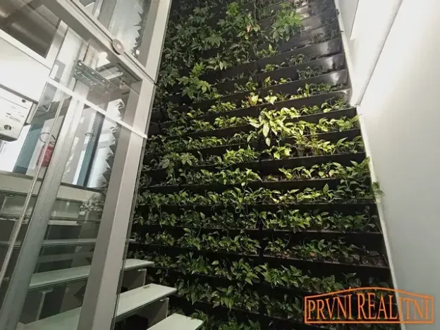 Pronájem kanceláře, Uherský Brod, Komenského, 20 m2