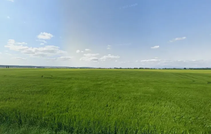 Prodej pole, Těšetice, 70784 m2