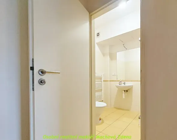 Pronájem bytu 1+kk, Praha - Michle, Jihlavská, 24 m2