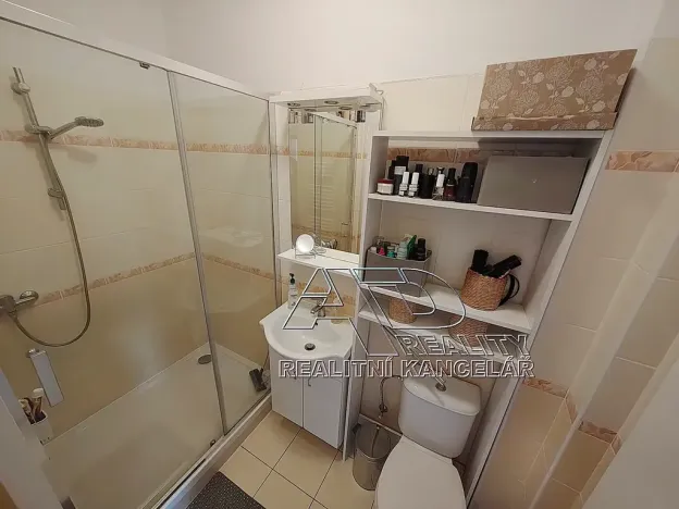 Pronájem atypického bytu, České Budějovice, 54 m2