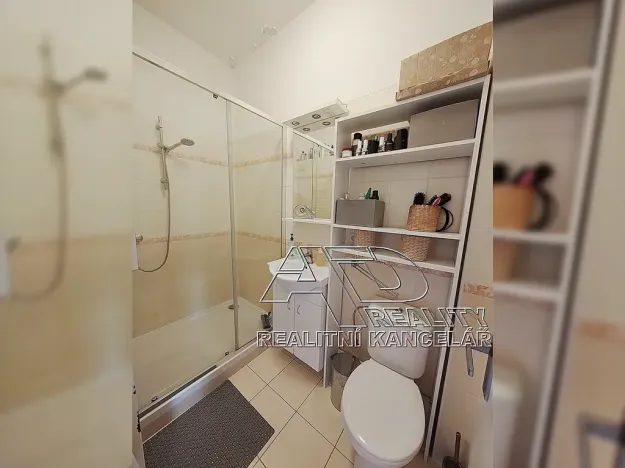 Pronájem atypického bytu, České Budějovice, 54 m2