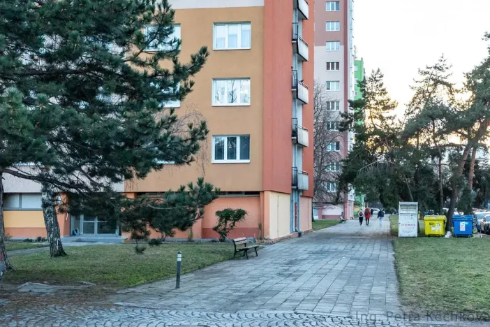 Pronájem bytu 1+kk, Brno - Staré Brno, Veletržní, 19 m2