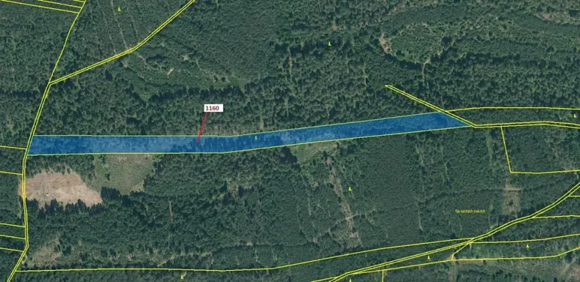 Dražba lesa, Jesenice, 12984 m2