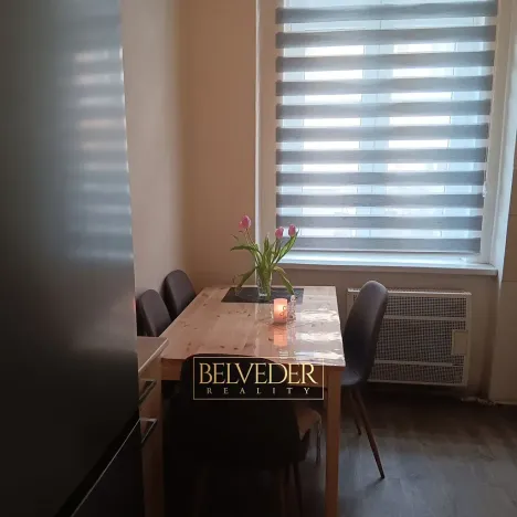 Pronájem bytu 1+1, Teplice, Americká, 38 m2