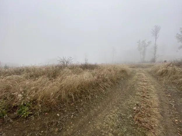 Prodej lesa, Městečko Trnávka - Lázy, 32904 m2