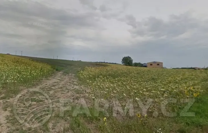 Prodej pole, Kyjov, 69892 m2