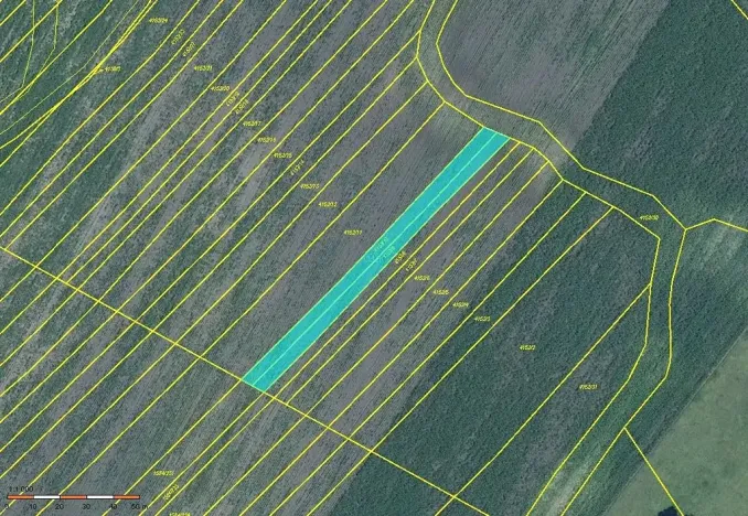 Prodej pole, Moravská Nová Ves, 952 m2