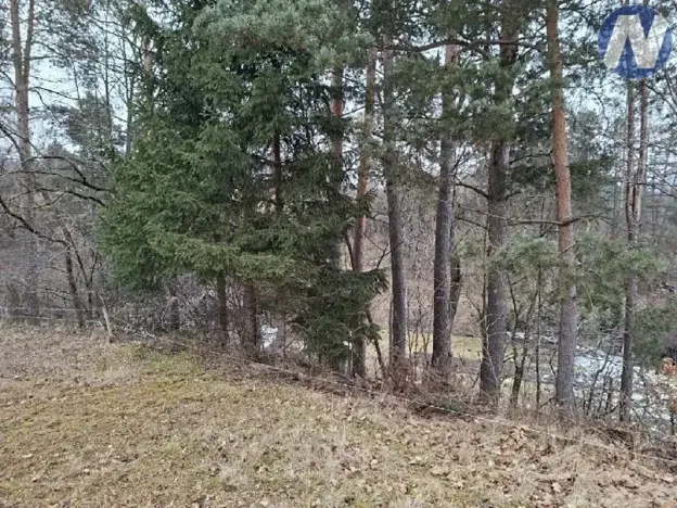 Prodej lesa, Lčovice, 759 m2